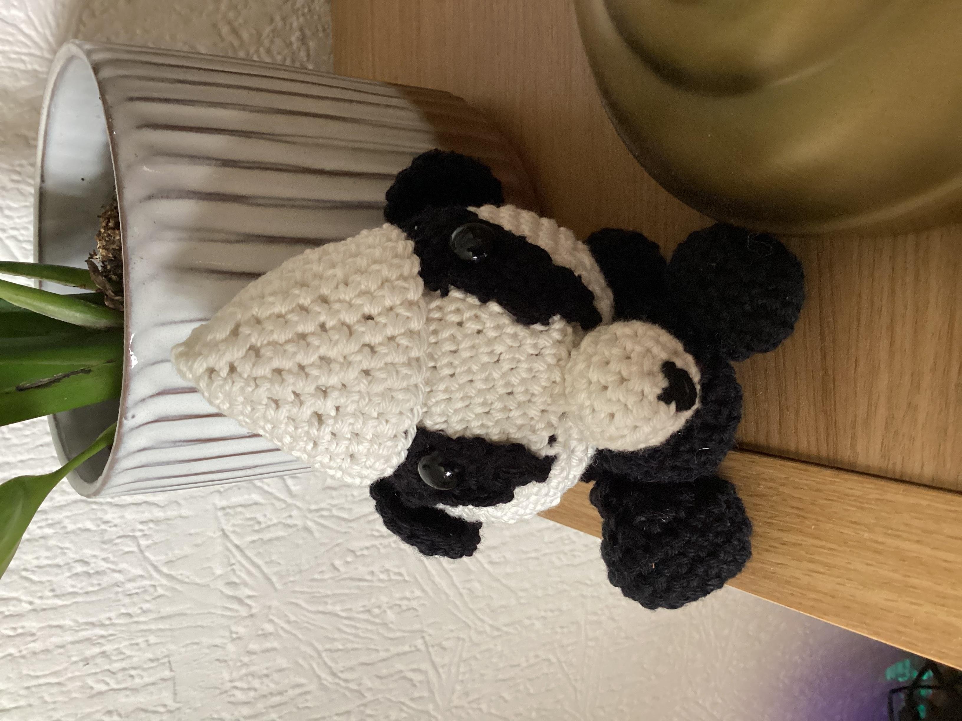 more-projects-from-class-img