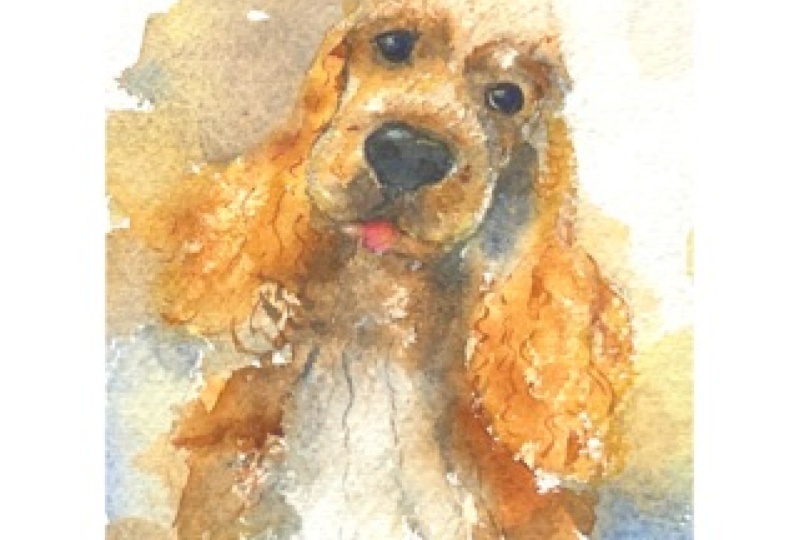 Pet portrait