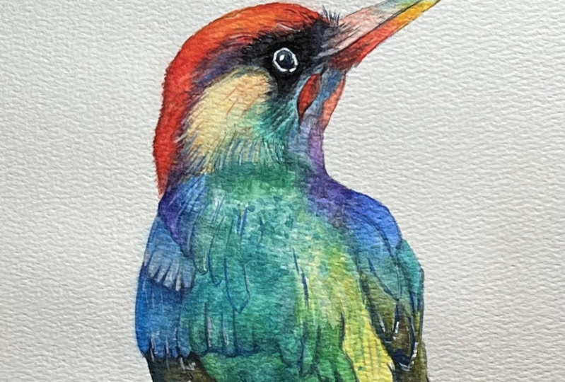Colorful Birds in Watercolor
