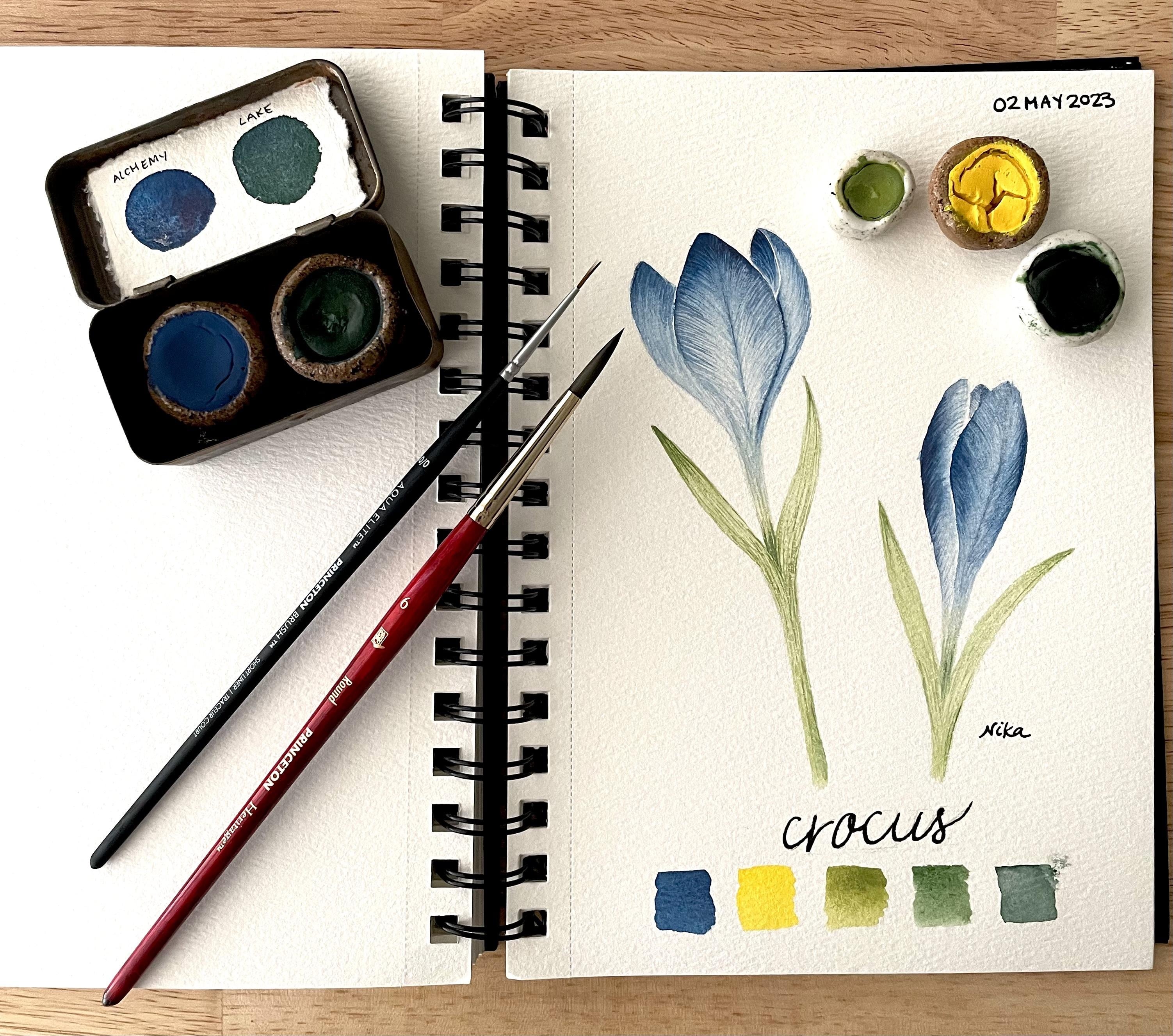 Crocus