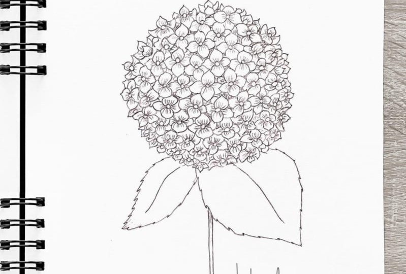 Ang pag drawing