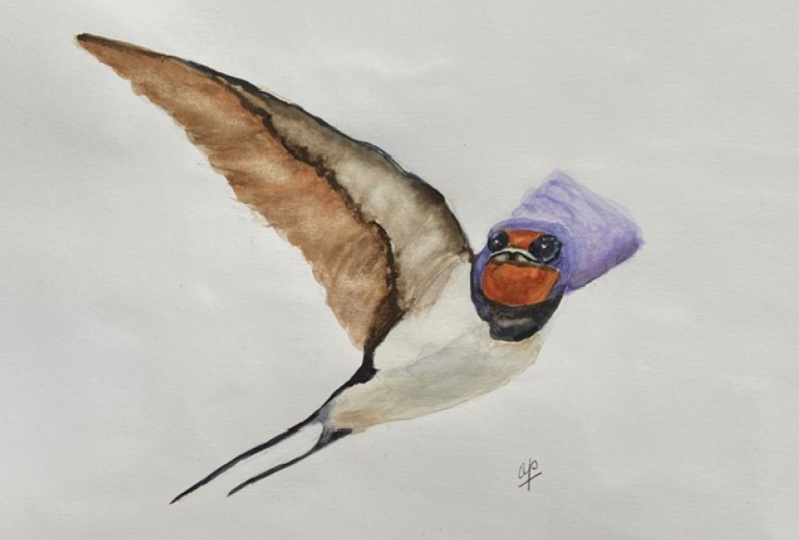 Watercolour barnswallow  with Paul Cheney