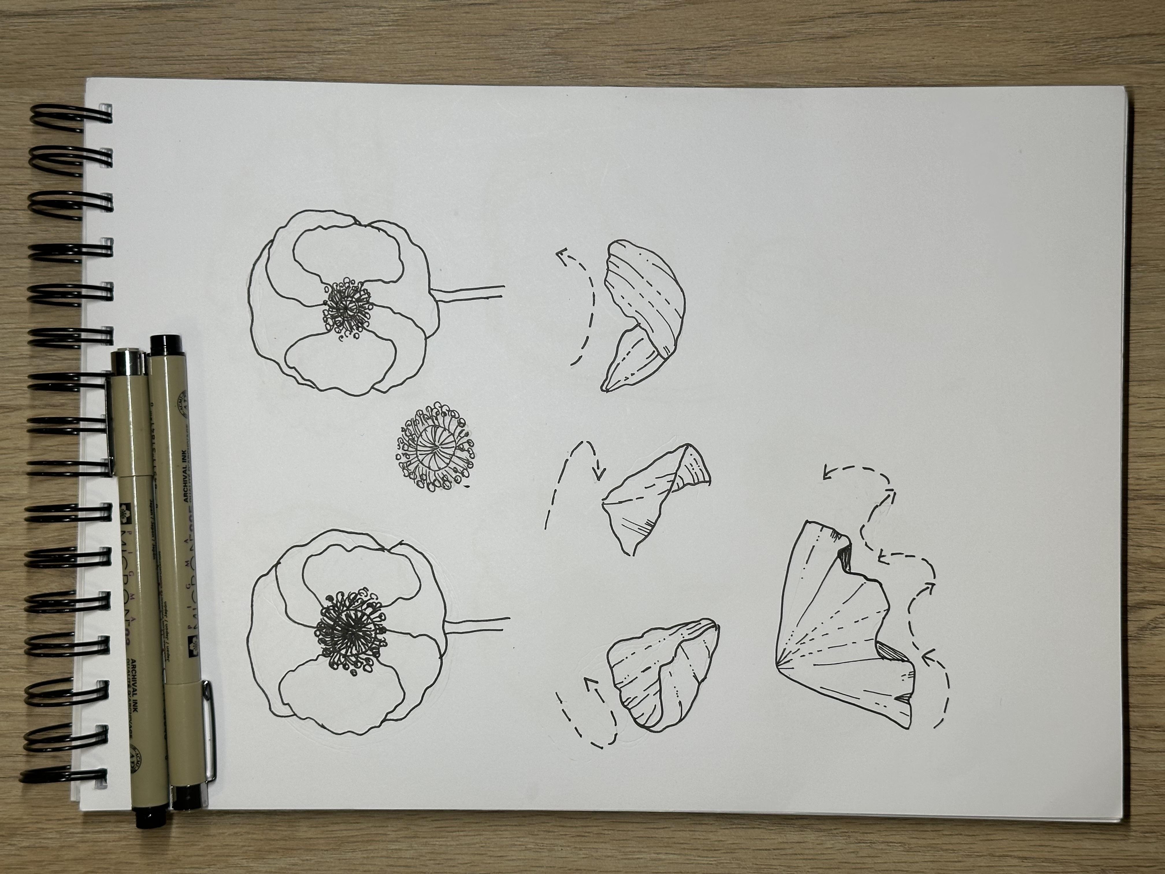 more-projects-from-class-img