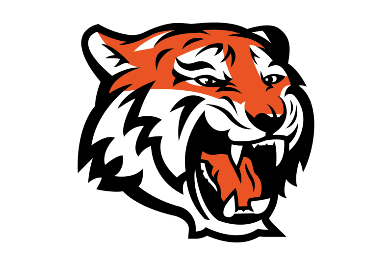 TIGER SPORTS LOGO