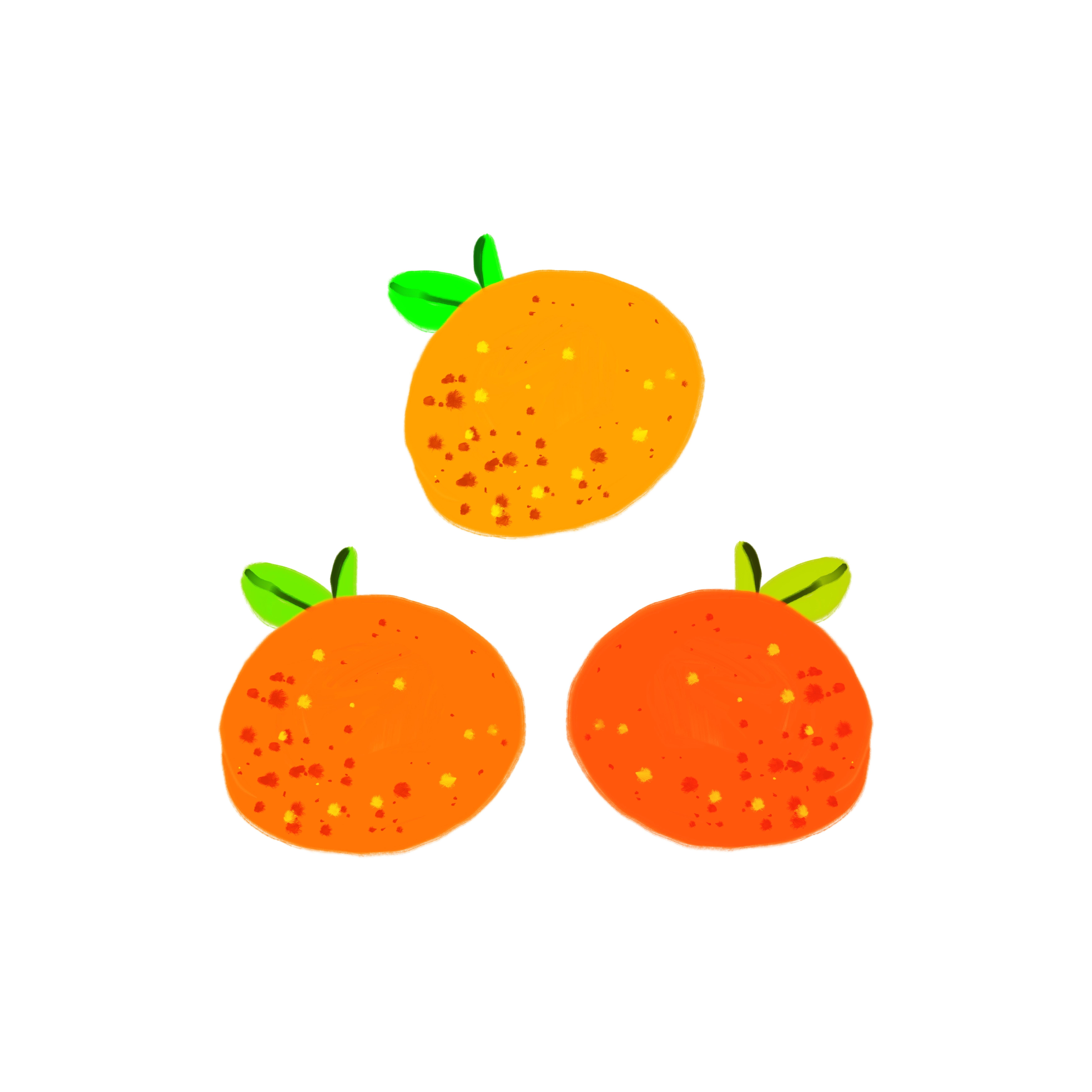 more-projects-from-class-img
