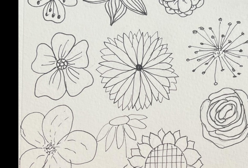 Easy and Simple Botanicals