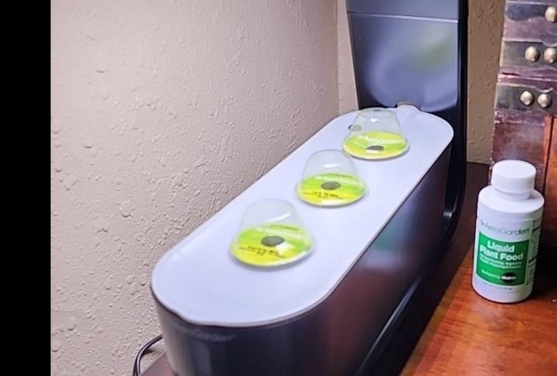 Hydroponic set up