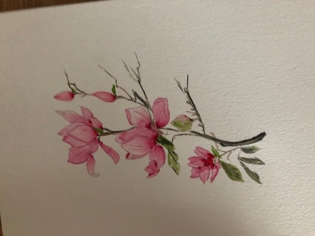 Magnolia WC - student project