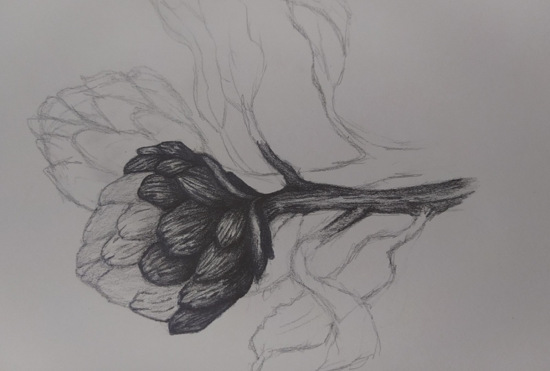 desculpa babi mas to com mt preguiça de terminar :{