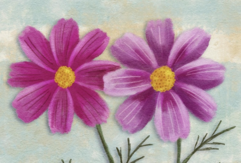 Drawing and Painting the Cosmos Flower