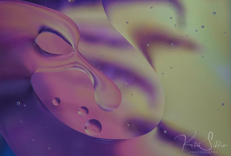 Oil and Water Bird