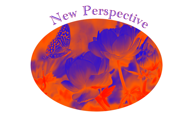 New Perspective