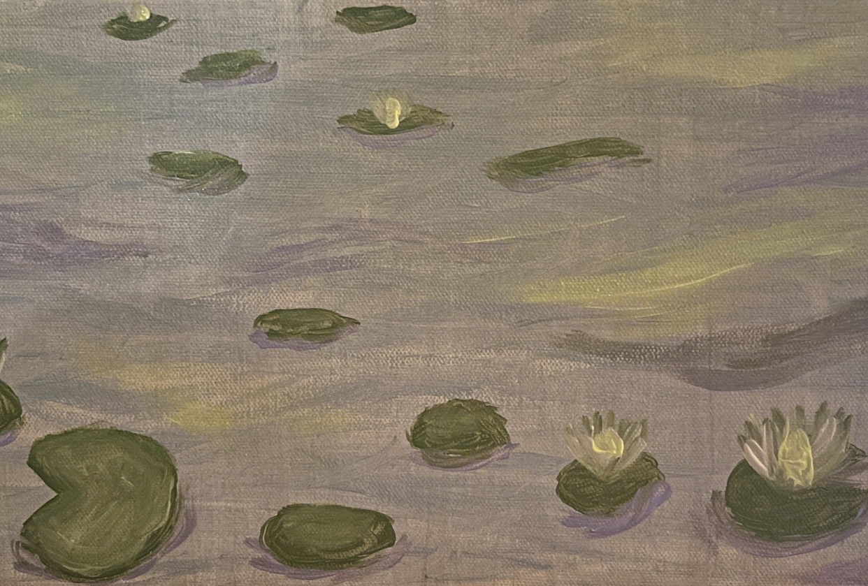 waterlilies - student project