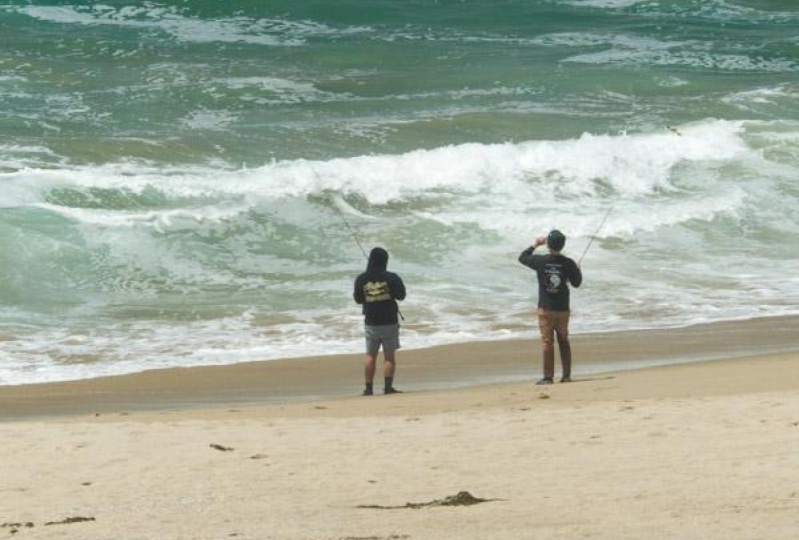 A walk near the beach