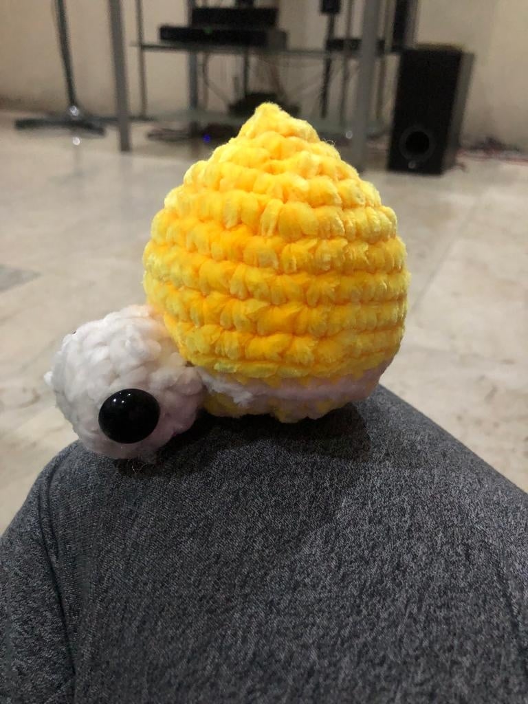 Lemon Turtle - student project