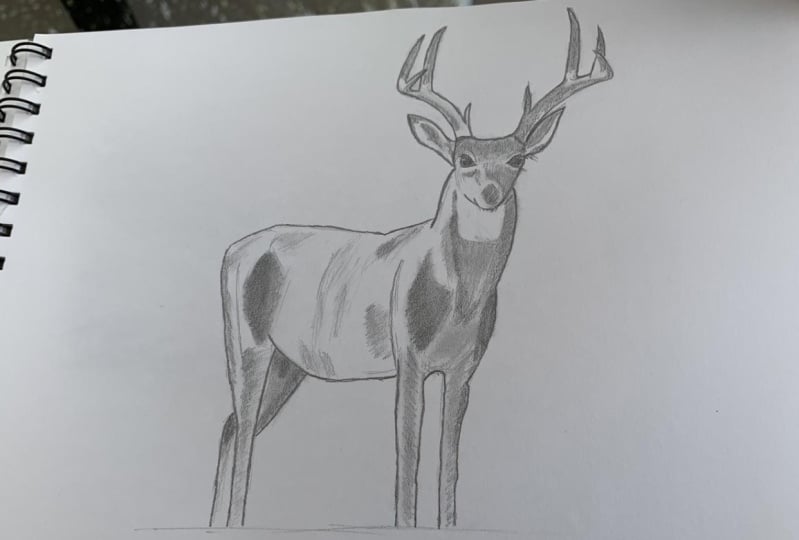 Drawing class