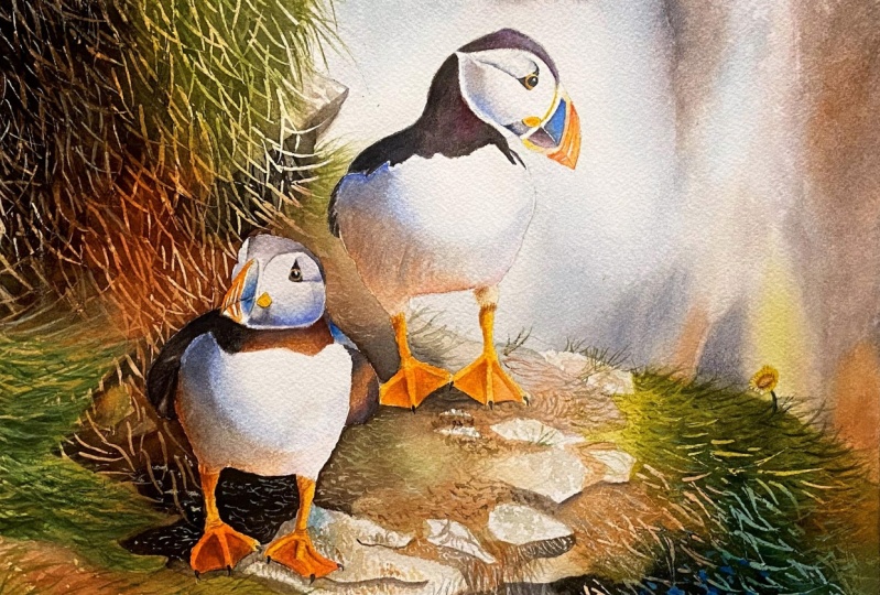 Watercolor Puffins