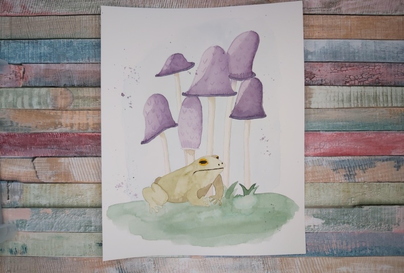 Mushrooms with little Frog