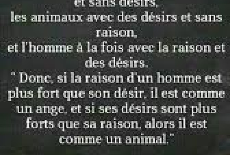 Liker