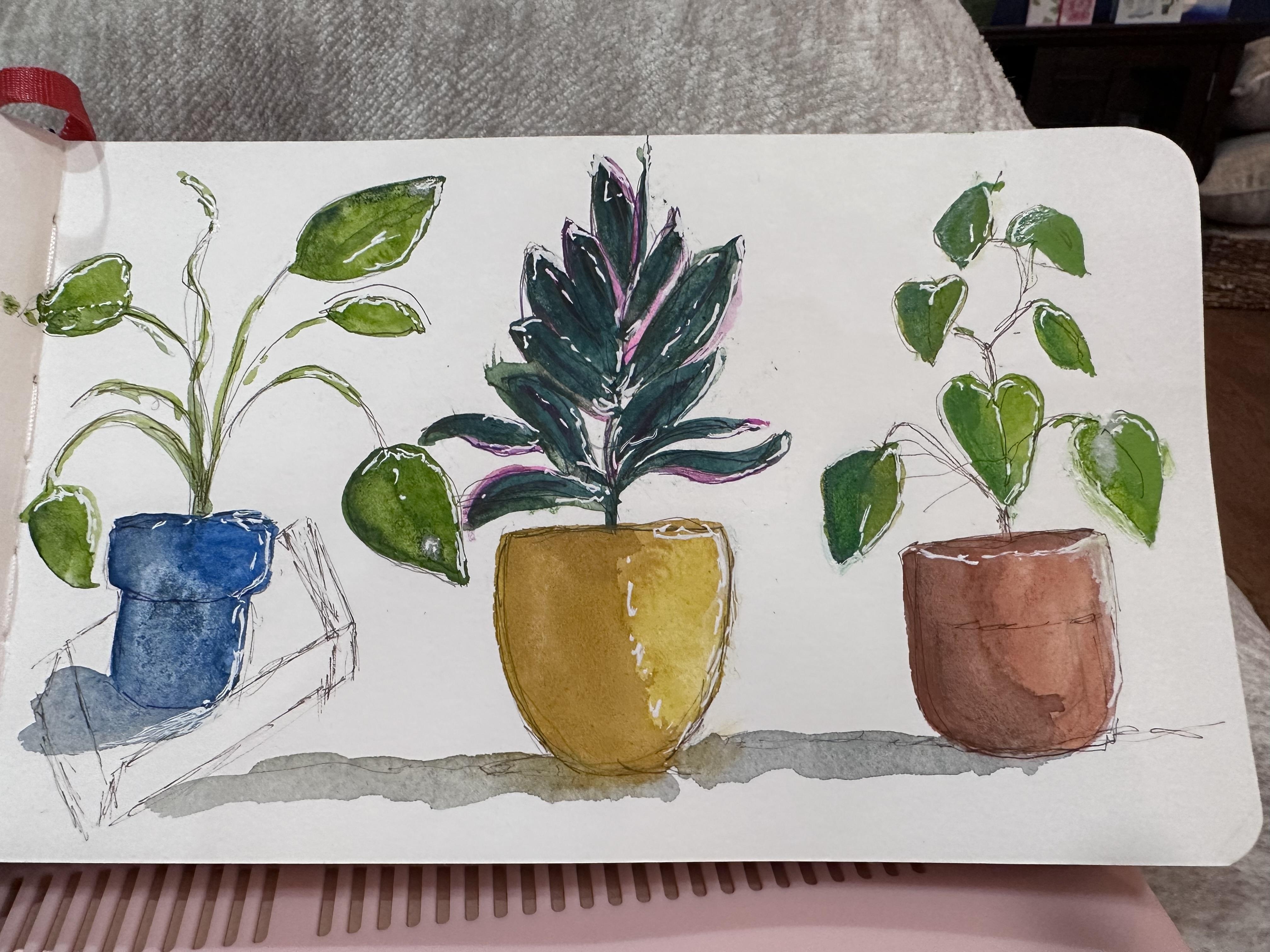 more-projects-from-class-img