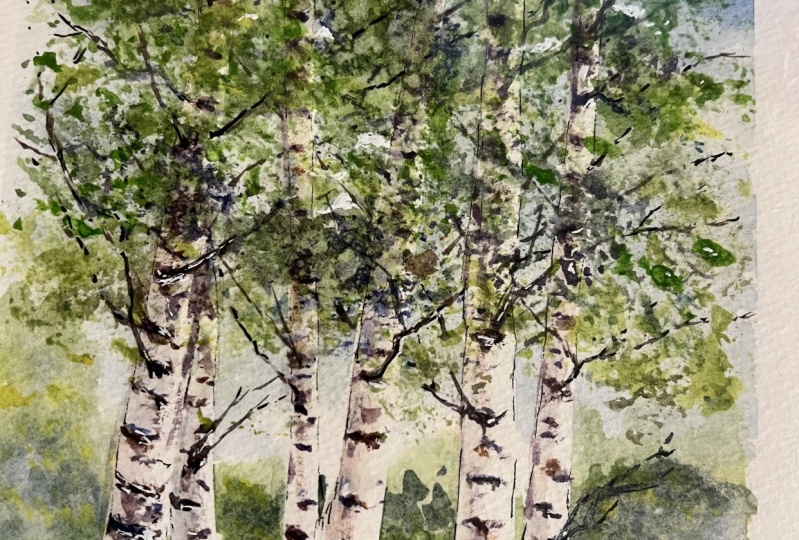 Watercolor Deciduous Trees using Masking