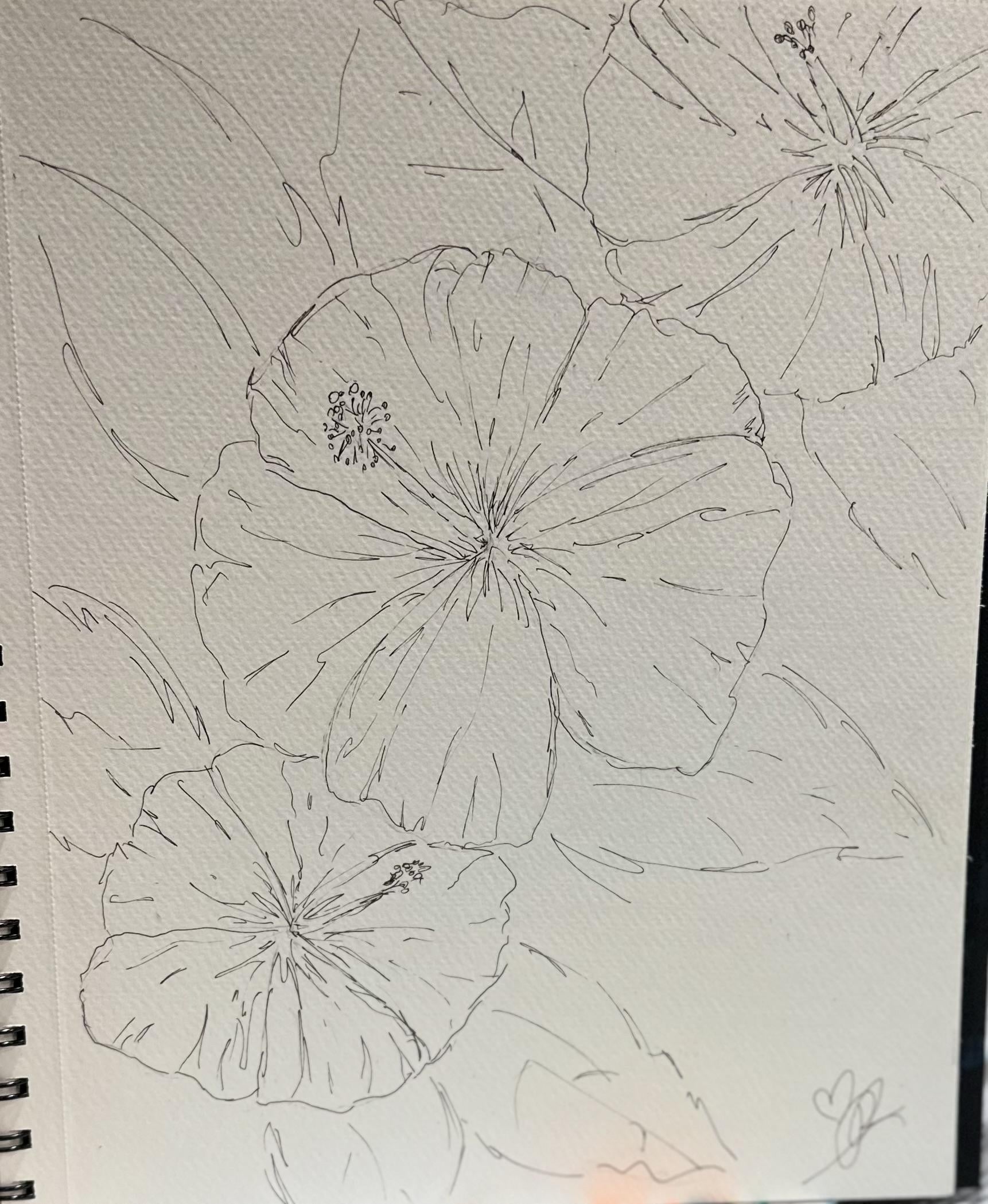 more-projects-from-class-img