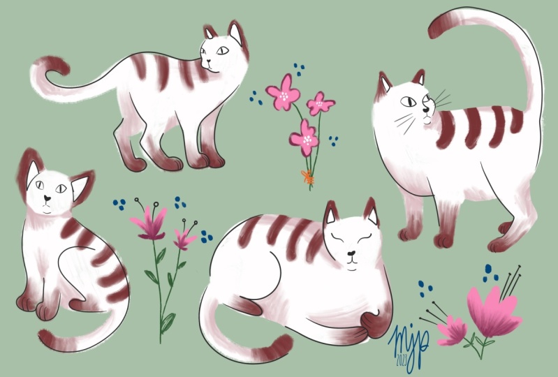 Cats cats cats!