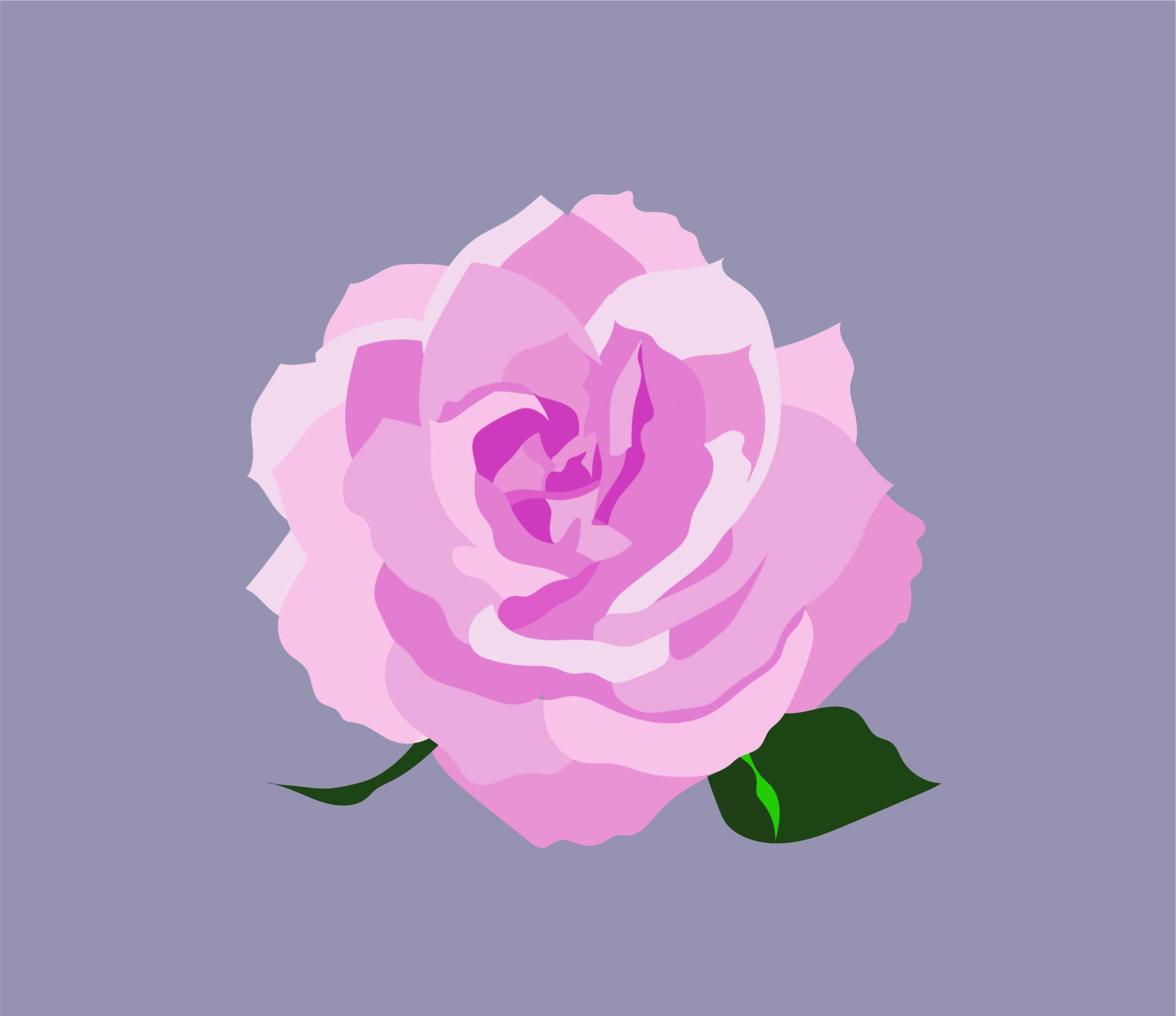 more-projects-from-class-img