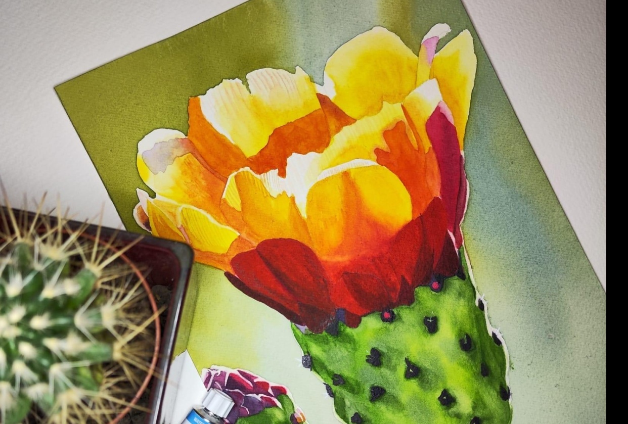 Opuntia Flower - student project