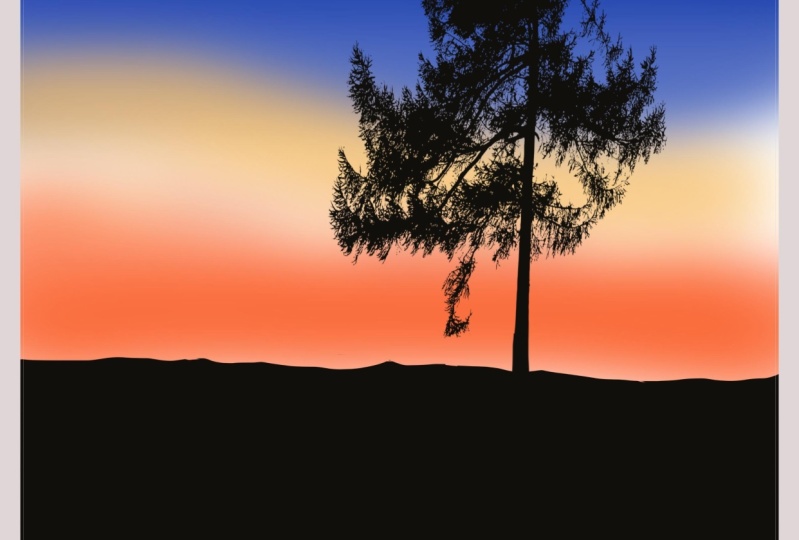 Beautiful Sky