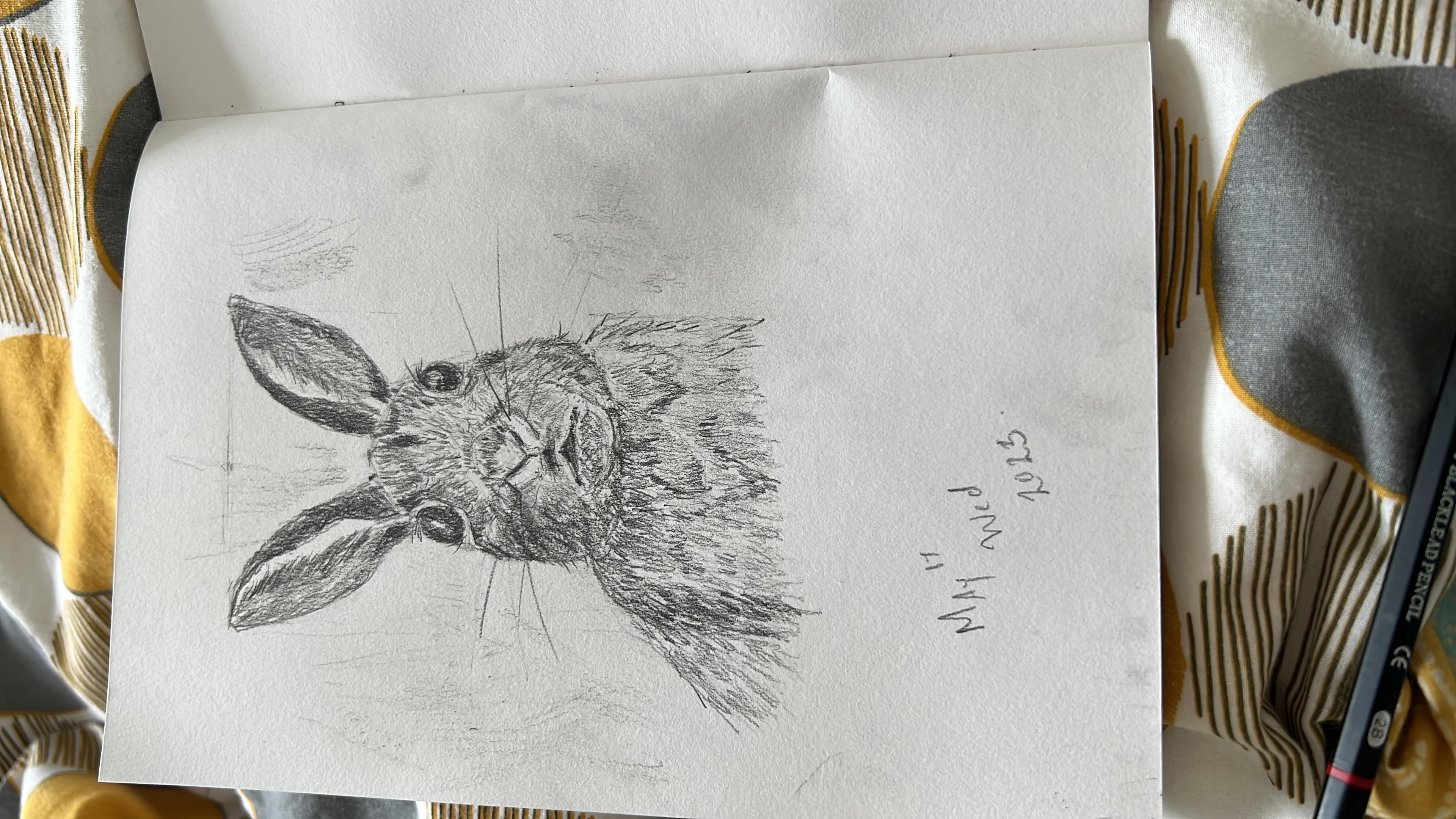 Sketched a hare - student project