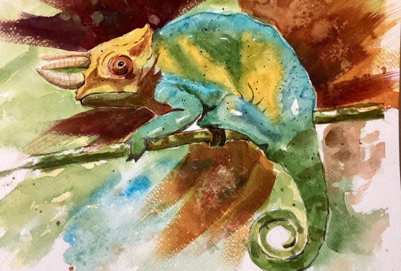 Comical Chameleon