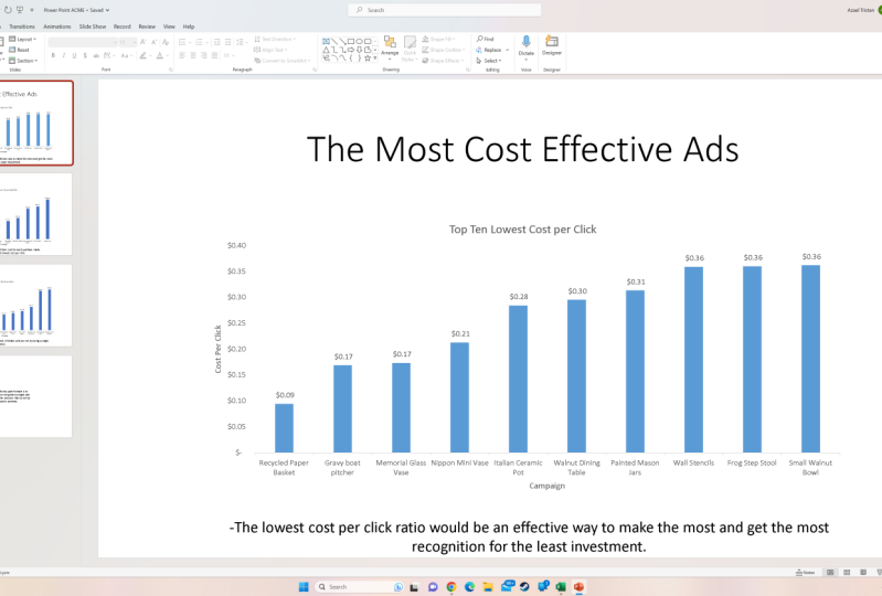 ACME Efficiency Plan