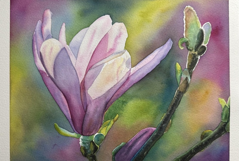 Magnolia
