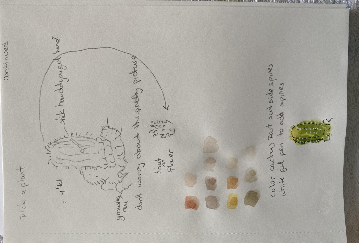 Desert cactus - student project