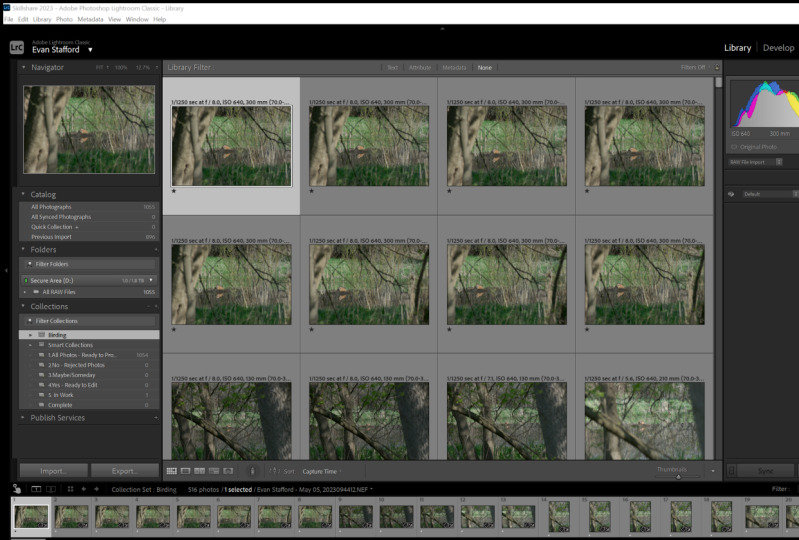Organizing lightroom