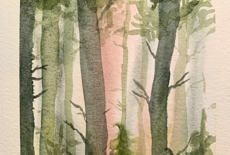 Painting the forest