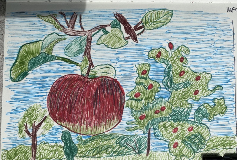 Apple and Frog
