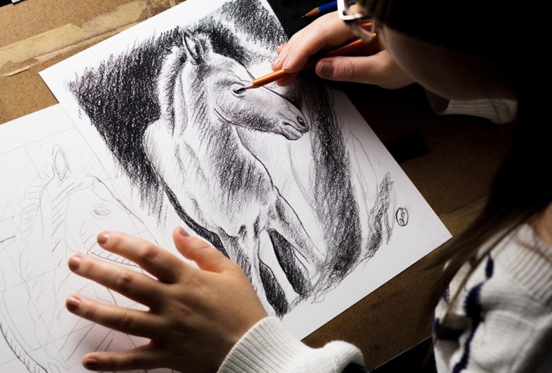 My Project - Foal