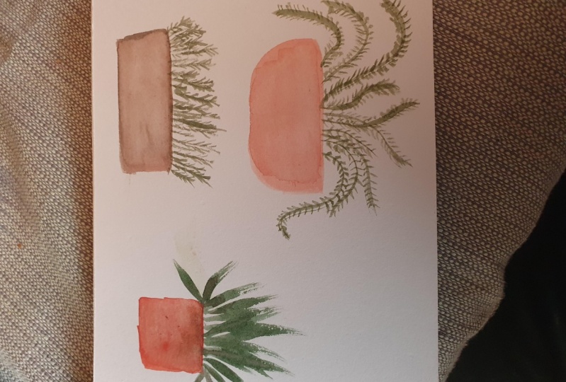 House plants