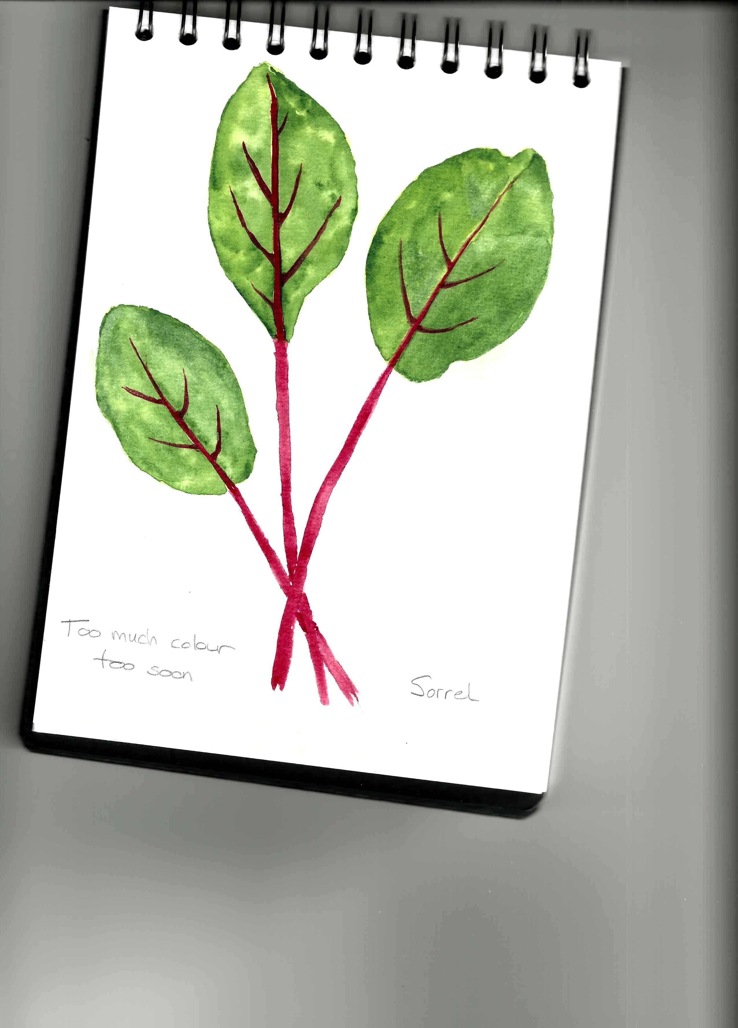 more-projects-from-class-img
