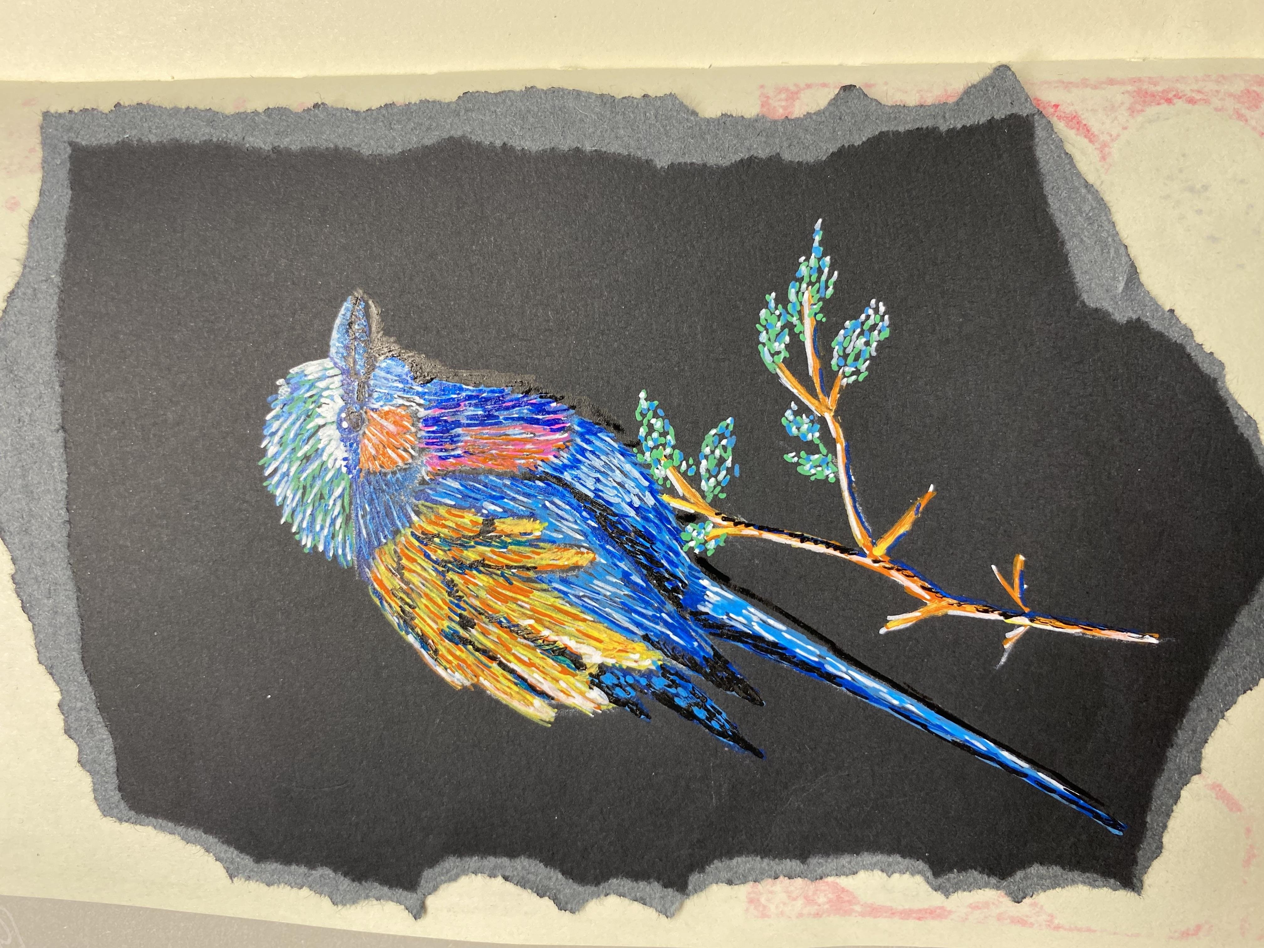 more-projects-from-class-img
