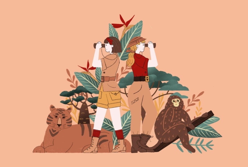 Safari