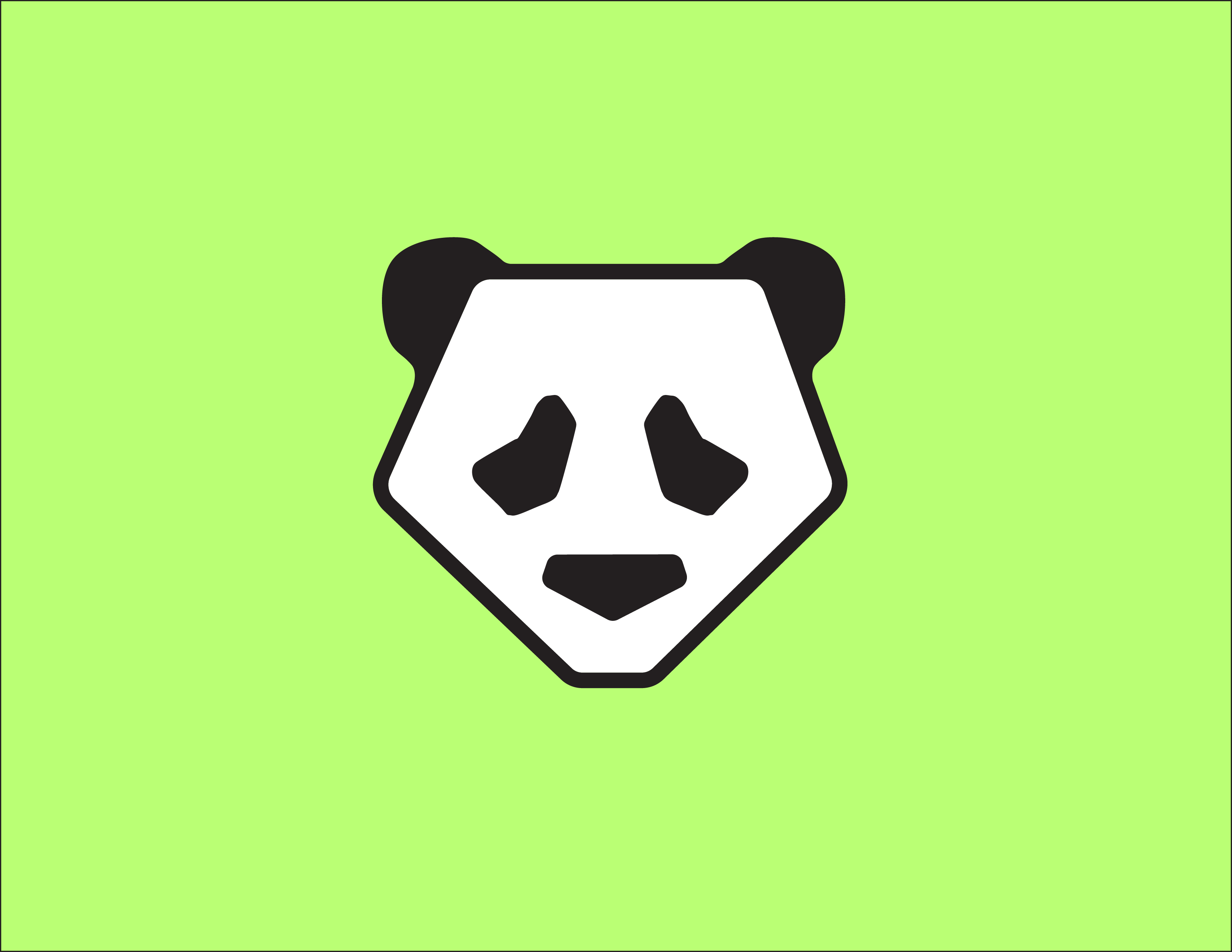 Adobe Illustrator Essentials - Portfolio