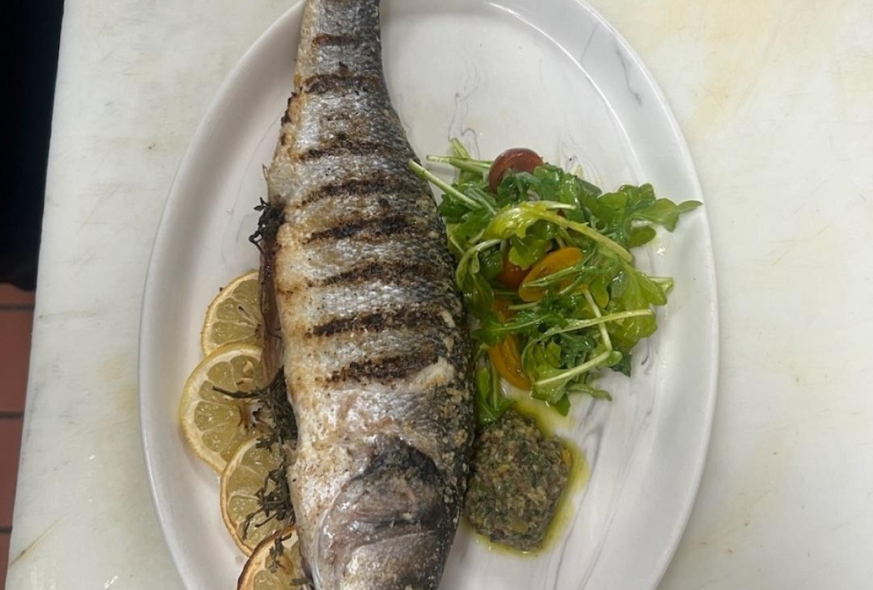 Spear head trout - student project