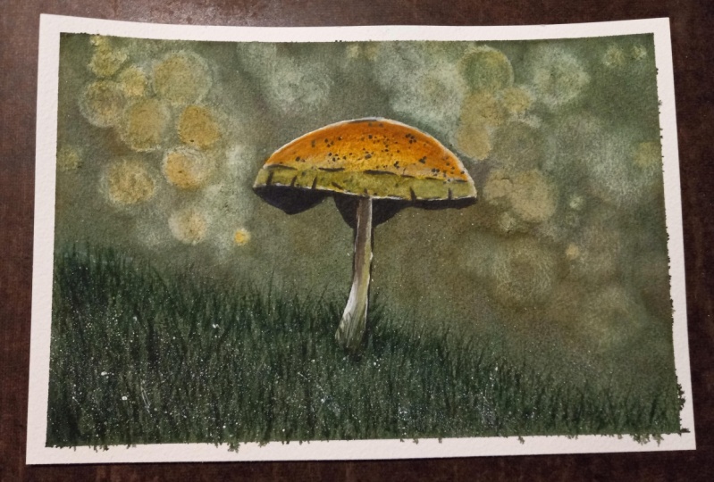 Bokeh Mushroom