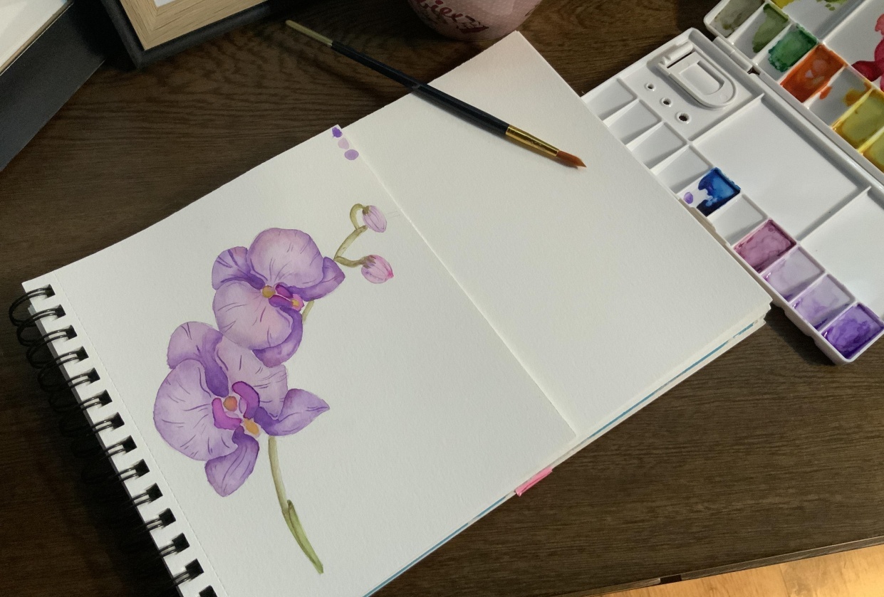 Orquídeas - student project