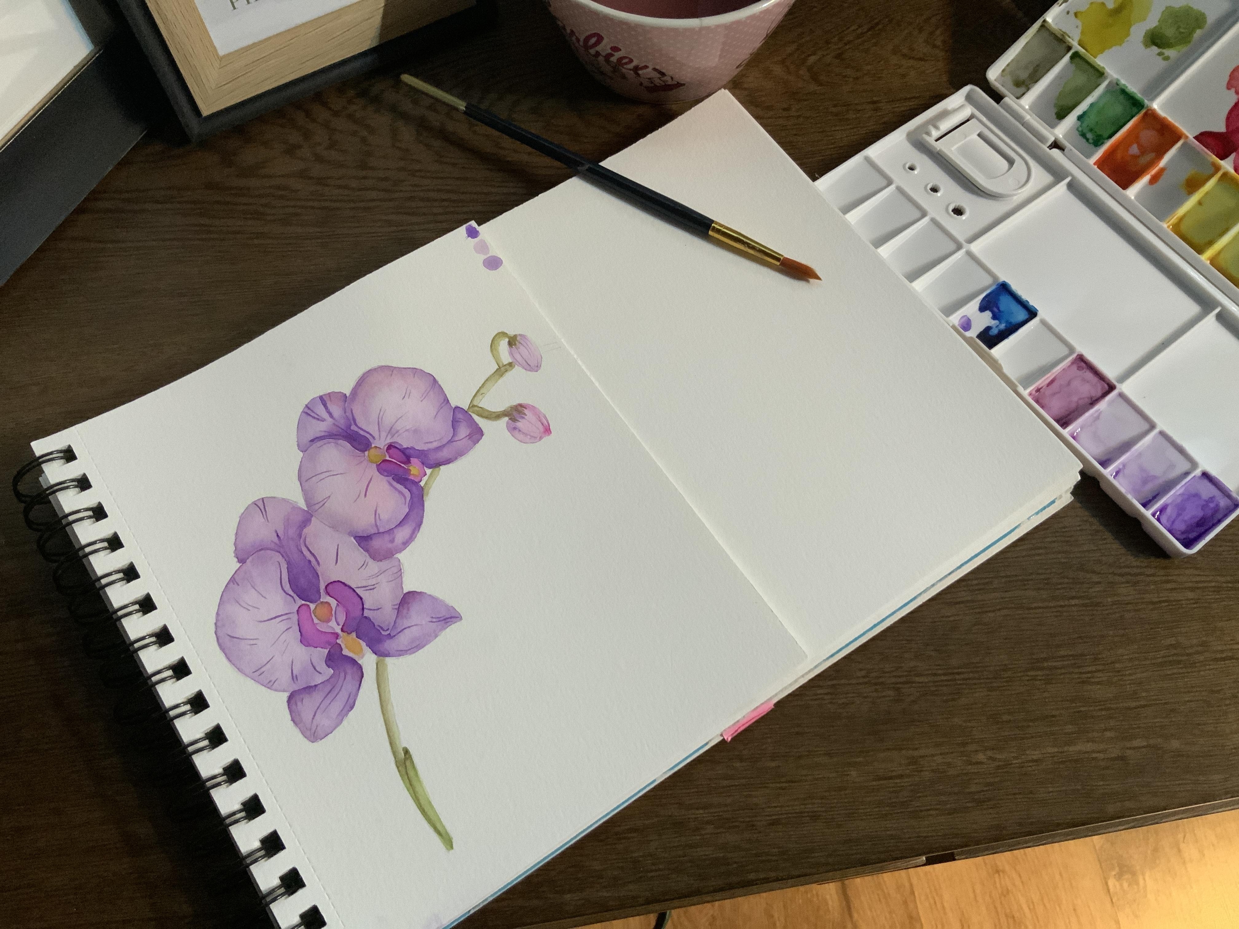 Orquídeas - student project