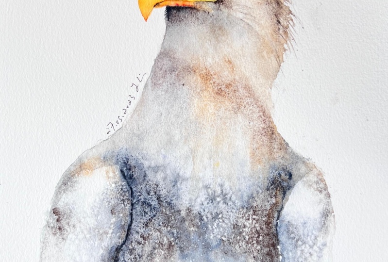 Mr. Eagle