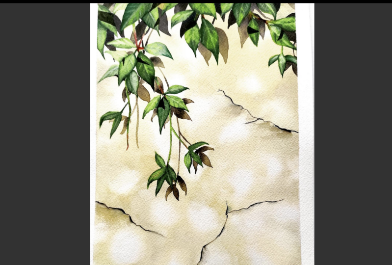 Shadows on Wall